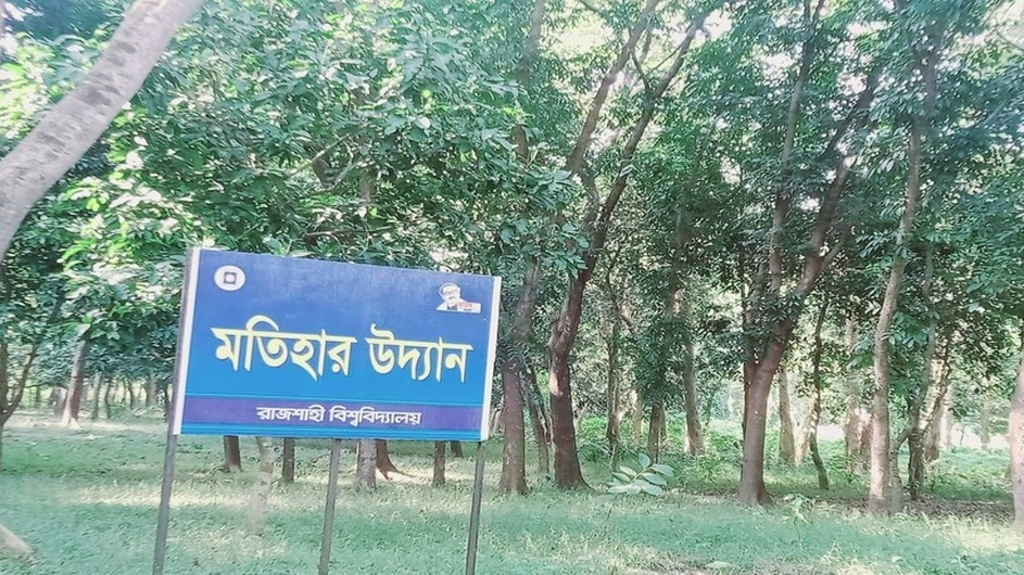 পাখিদের কলরবে মুখরিত রাবির "মতিহার উদ্যান