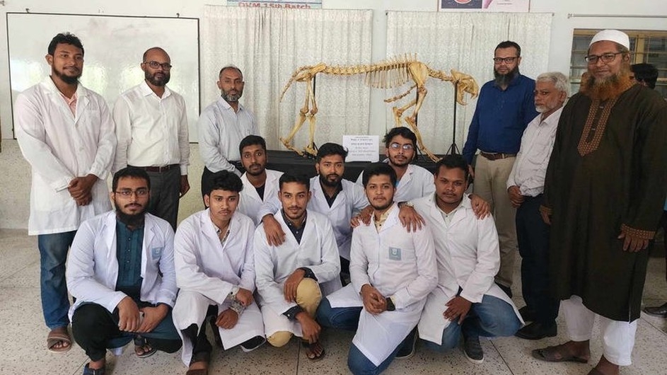 পবিপ্রবির এনাটমি মিউজিয়ামে দেশের ‘দ্বিতীয়’ রয়েল বেঙ্গল টাইগারের কঙ্কাল