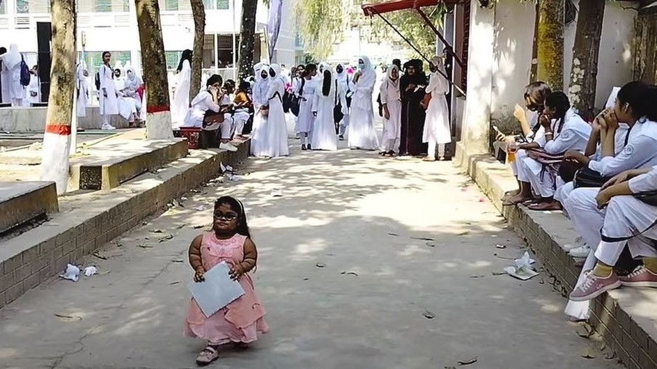 ৩০ ইঞ্চির জীবন জয়ী পাখির সংগ্রাম