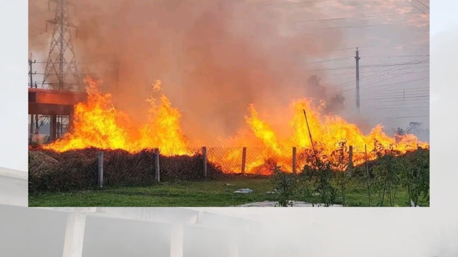 বাকৃবির খামারে আগুন লাগার ঘটনায় তদন্ত কমিটি গঠন