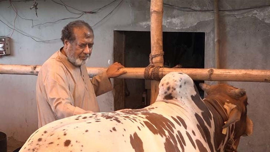 কুরবানির পশু বিক্রির তিন কোটি টাকা এতিমখানায় দেবেন সেলিম ওসমান