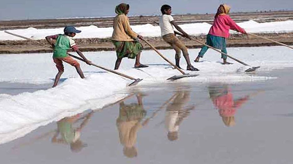 চলতি মৌসুমে দেশে সর্বোচ্চ লবণ উৎপাদনের রেকর্ড