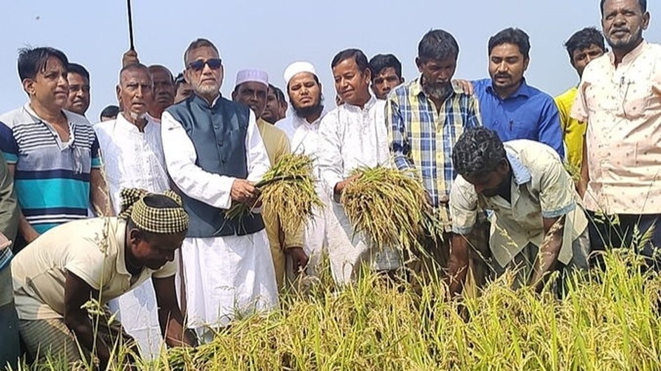 হাকালুকিতে ধান কাটা উৎসবে পরিবেশমন্ত্রী
