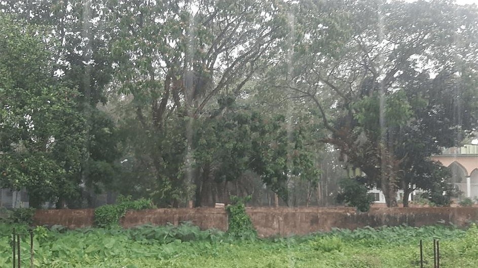 বৃষ্টিপাতে কিছুটা হলেও স্বস্তিতে মৌলভীবাজারবাসী