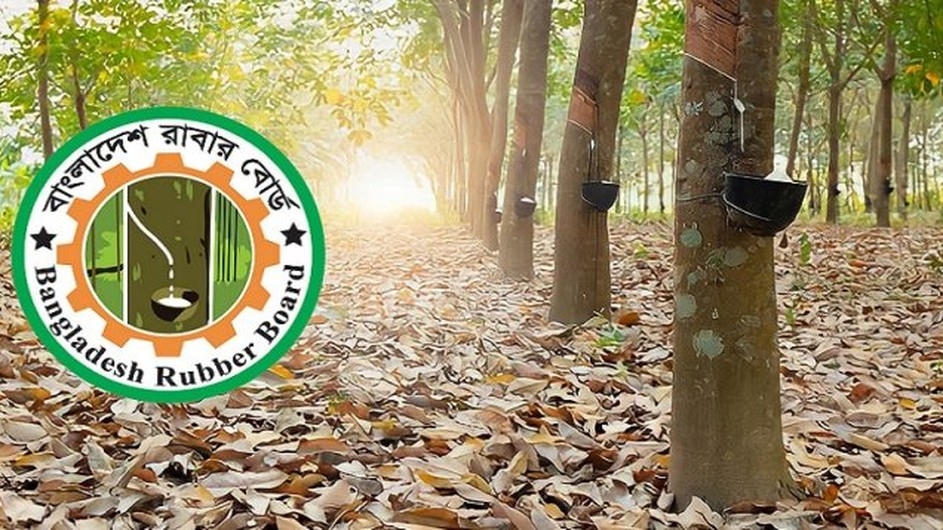 রাবার বোর্ডে নবম গ্রেডে চাকরি, আবেদন ফি ৫৫৬ টাকা