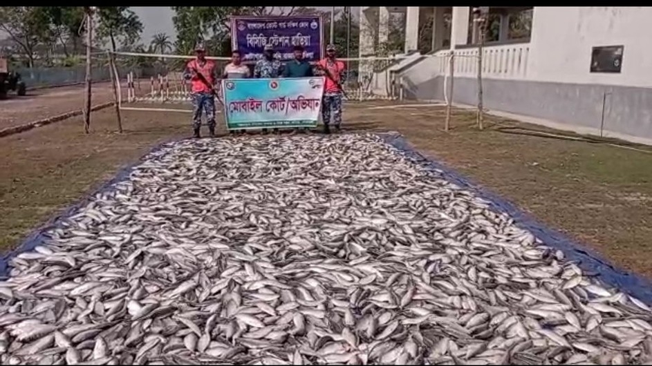 হাতিয়াতে ১০০ মণ জাটকা জব্দ: এতিমখানা ও গরীব অসহায় মানুষের মাঝে বিতরণ