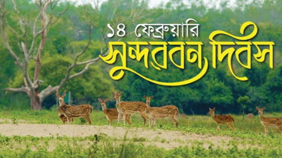 আজ ১৪ ফেব্রুয়ারি ‘সুন্দরবন দিবস’