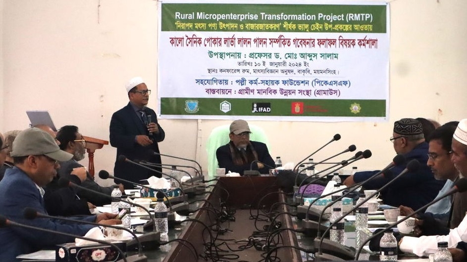 বাকৃবিতে কালো সৈনিক পোকার লার্ভা গবেষণার ফলাফল বিষয়ক কর্মশালা