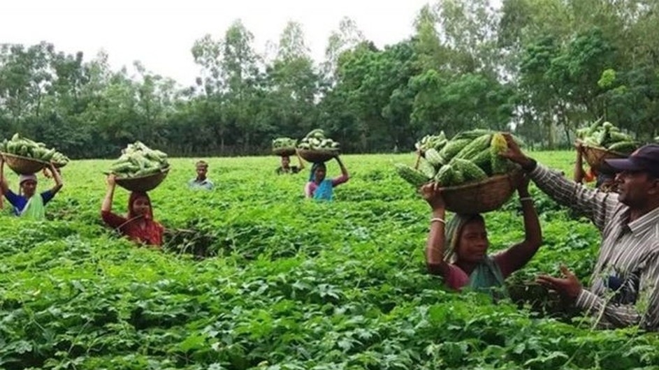 সবুজে ঘেরা শ্রীমঙ্গলের করলা গ্ৰাম, স্বাবলম্বী চাষীরা