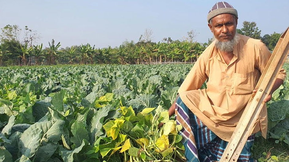 এক পা নেই তবুও দেশসেরা কৃষক শফিউল বাশার
