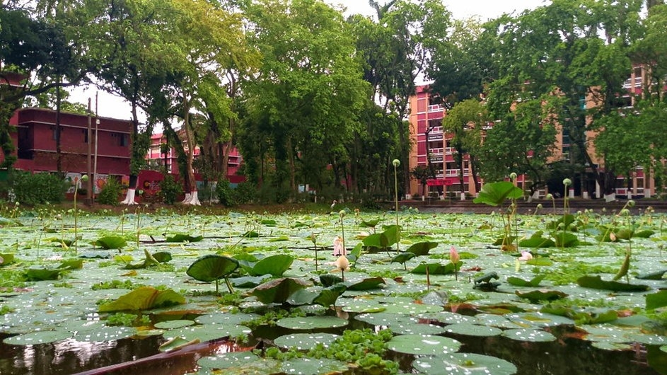 রাজশাহী কলেজের পদ্ম পুকুর প্রকৃতির এক মনোমুগ্ধকর রত্ন