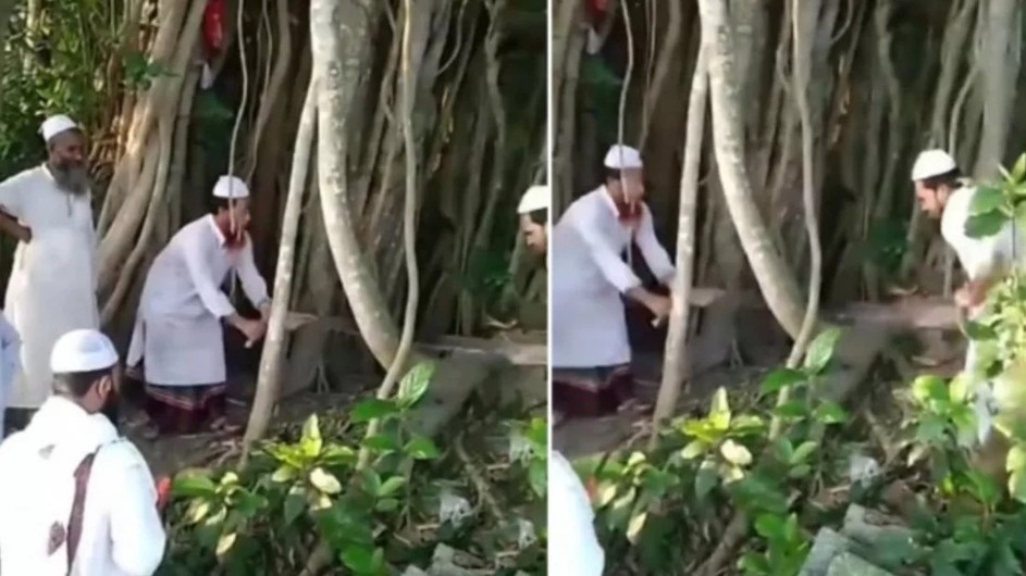 ‘শিরক’ তকমা দিয়ে মাদারীপুরে কেটে ফেলা হলো ২০০ বছরের প্রাচীন বটগাছ