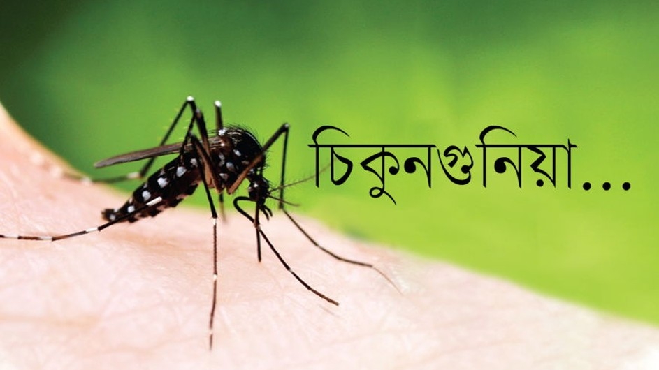 ঢাকায় ভয়াবহ রূপ নিতে পারে চিকুনগুনিয়া