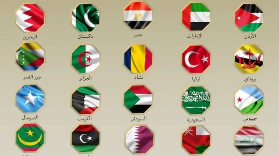 ইরানে ইসরায়েলি হামলার নিন্দা জানাল মিশরসহ ২১ মুসলিম দেশ