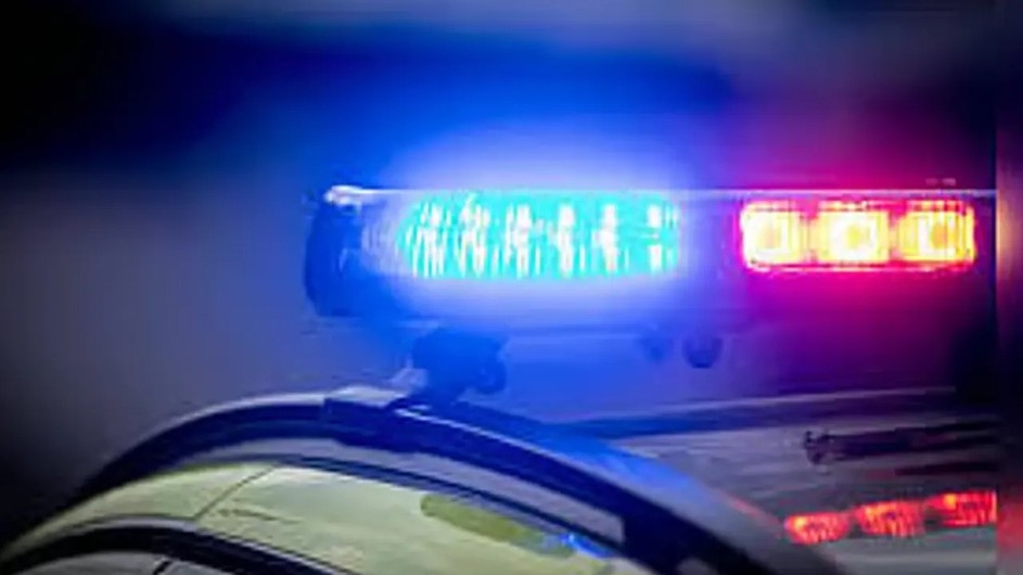 নেতানিয়াহুকে মেরে ‘শহীদ’ হতে চেয়েছিলেন বৃদ্ধা, তার আগেই গ্রেপ্তার