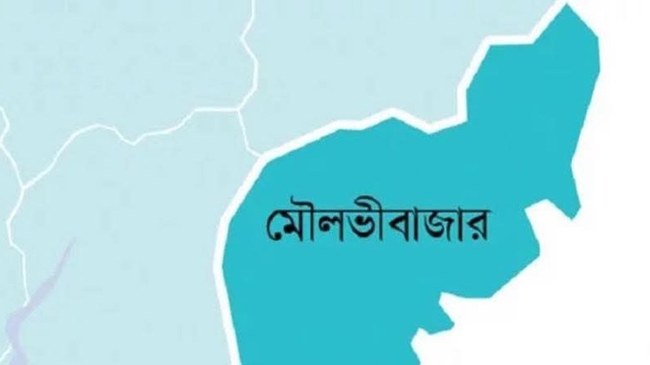 ৪৮ শিক্ষক পালিয়ে প্রবাসে চলে যাওযায় বরখাস্ত