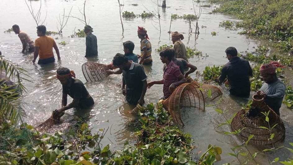 ঝিনাইদহে পলো দিয়ে মাছ ধরার মহা-উৎসব