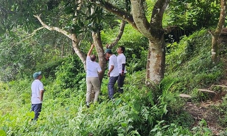 শামুকের ‘অজানা জগৎ’ উন্মোচনে রাবির গবেষণায় সাফল্য