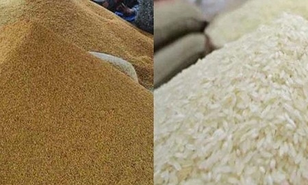 ধান ৩৪, চাল ৫০ টাকা কেজি দরে সংগ্রহ করবে সরকার