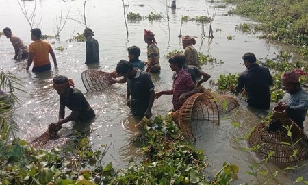 ঝিনাইদহে পলো দিয়ে মাছ ধরার মহা-উৎসব